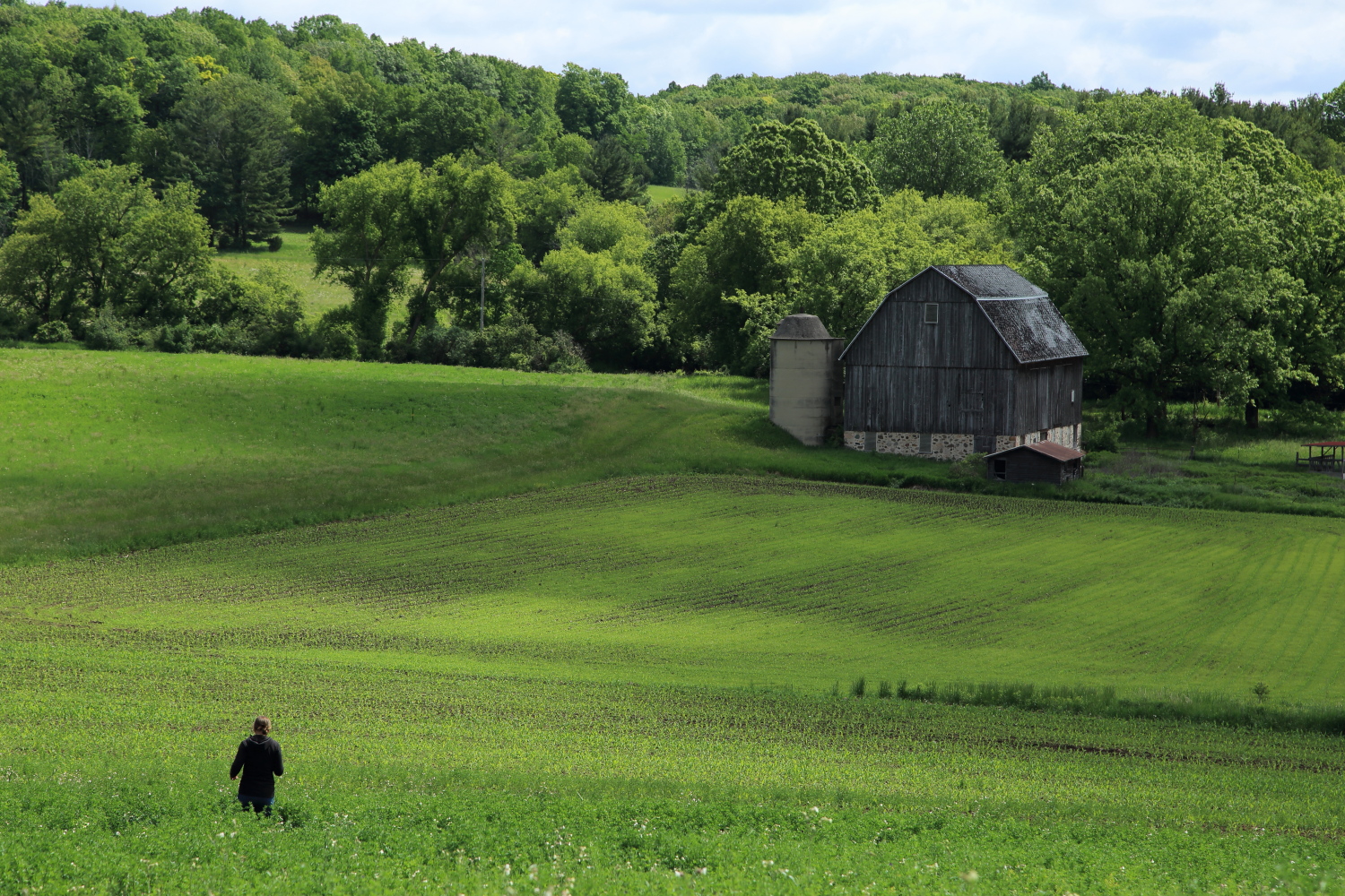 The Lands at Hillside Farms  Local, Sustainable, Educational Non